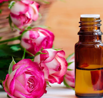 Rose Absolute V/s Rose Essential Oil – How They Are Different?