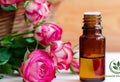 Rose Absolute V/s Rose Essential Oil – How They Are Different?