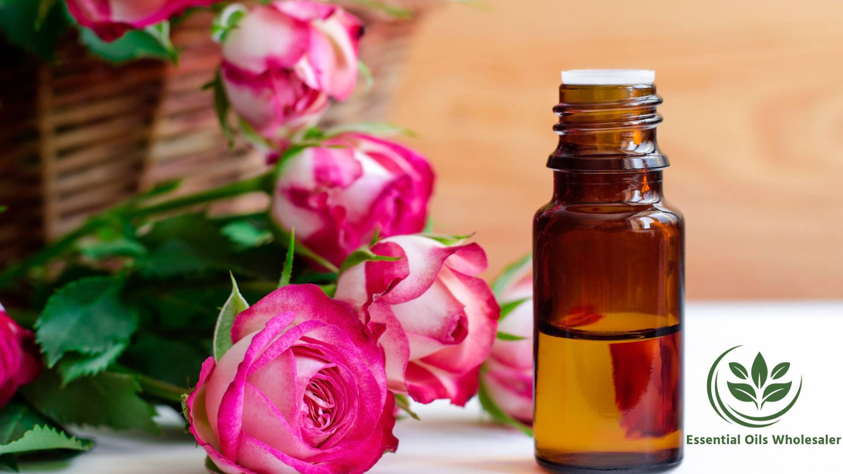 Rose Absolute V/s Rose Essential Oil – How They Are Different? – India ...