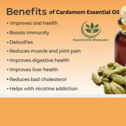 Cardamom Essential Oil