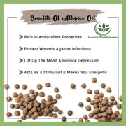 Allspice Essential Oil