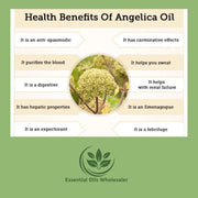 Angelica Root Essential Oil