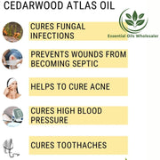 Atlas Cedar Essential Oil