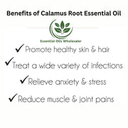 Calamus Root Essential Oil