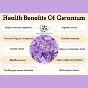 Geranium Essential Oil