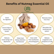 Nutmeg Essential Oil