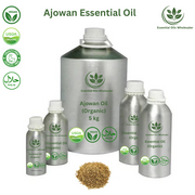 Buy Ajowan Oil Wholesale