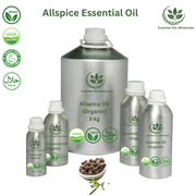 Buy Allspice Oil Wholesale