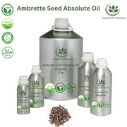 Buy Ambrette Seed Absolute Wholesale