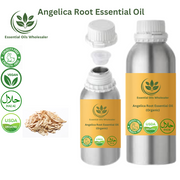 Buy Angelica Root Essential Oil Wholesale