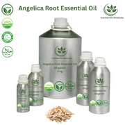 Buy Angelica Root Essential Oils Wholesale