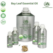 Buy Bay Leaf Essential Oils Wholesale