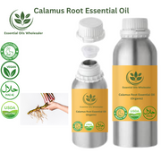 Buy Calamus Root Essential Oil Wholesale