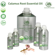 Buy Calamus Root Essential Oils Wholesale