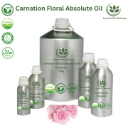 Buy Carnation Floral Absolute Oils Wholesale