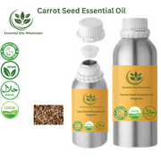 Buy Carrot Seed Essential Oil Wholesale