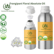 Buy Frangipani Floral Absolute Oil Wholesale