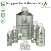 Buy Frangipani Floral Absolute Oils Wholesale