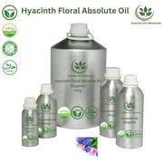 Buy Hyacinth Floral Absolute Oils Wholesale