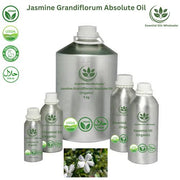 Buy Jasmine Grandiflorum Absolute Oils Wholesale