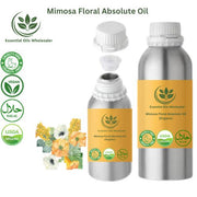 Buy Mimosa Floral Absolute Oil Wholesale