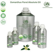 Buy Osmanthus Floral Absolute Oils Wholesale