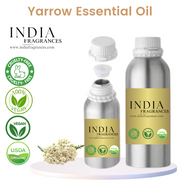 Yarrow Essential Oil